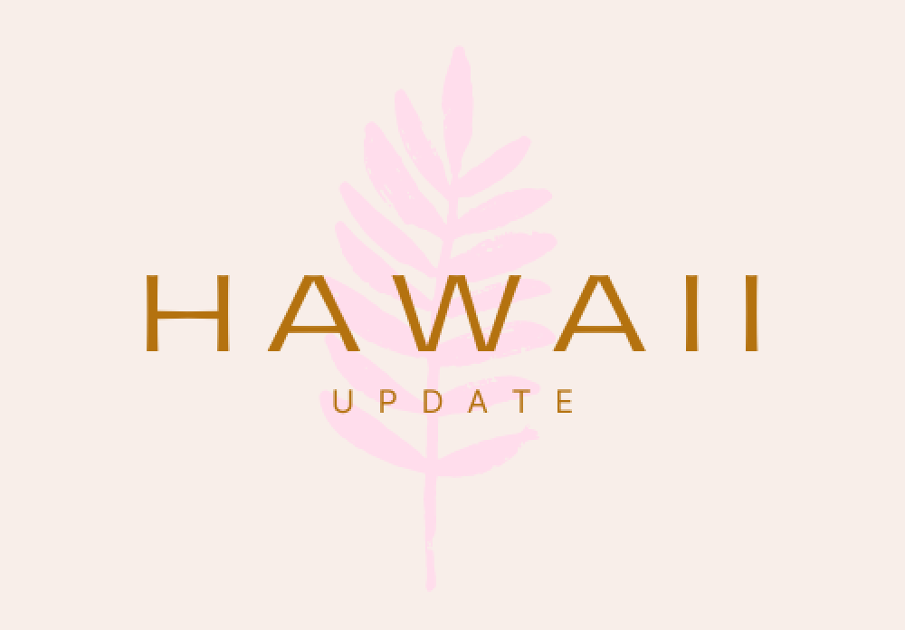 Hawaii Fires and AFA Support Update
