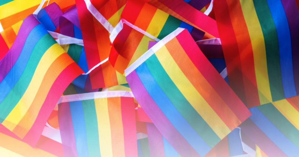 Celebrating Pride Month! 